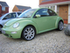 new beetle (Small).JPG